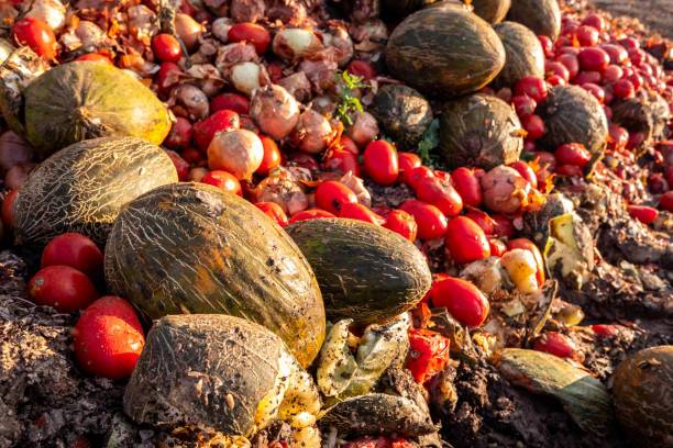 Où trouver un service de destruction de documents confidentiels Rouen (76) en Normandie