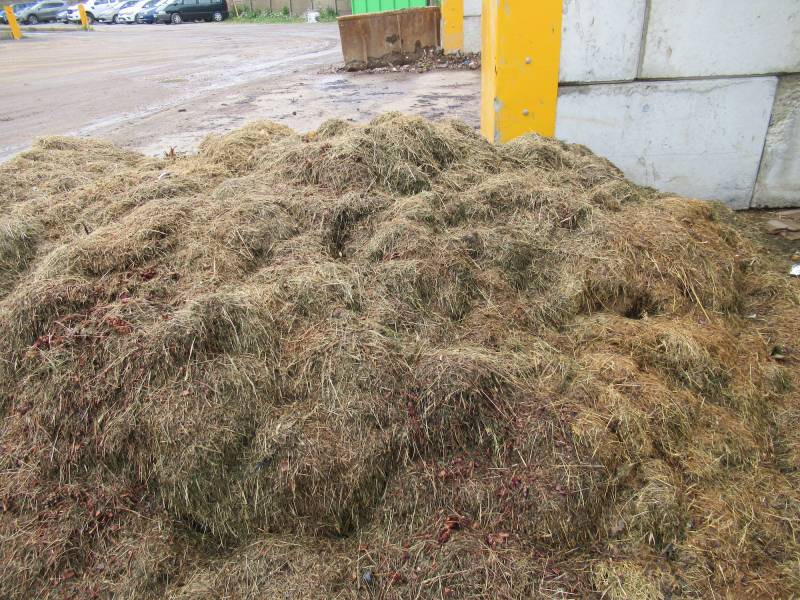 Où évacuer les déchets verts pour valorisation et traitement en Normandie 14, 76