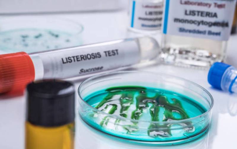 Bactérie Listeria