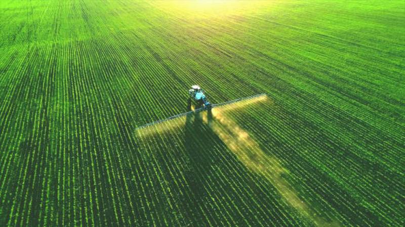 Chlorpyrifos l'insecticide