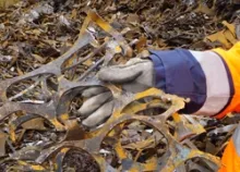 Nos prestations sur le secteur de Proche Marseille (13) Bouches du Rhône