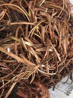 Nos prestations sur le secteur de Proche Lyon (69) Rhône Alpes