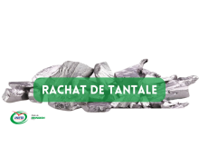 Nos prestations sur le secteur de Rouen (76) en Normandie