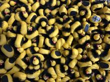 Notre zone d'activité pour ce service Entreprise de traitement de déchets dangereux