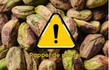 Notre zone d'activité pour ce service Entreprise pour l'évacuation de déchets verts